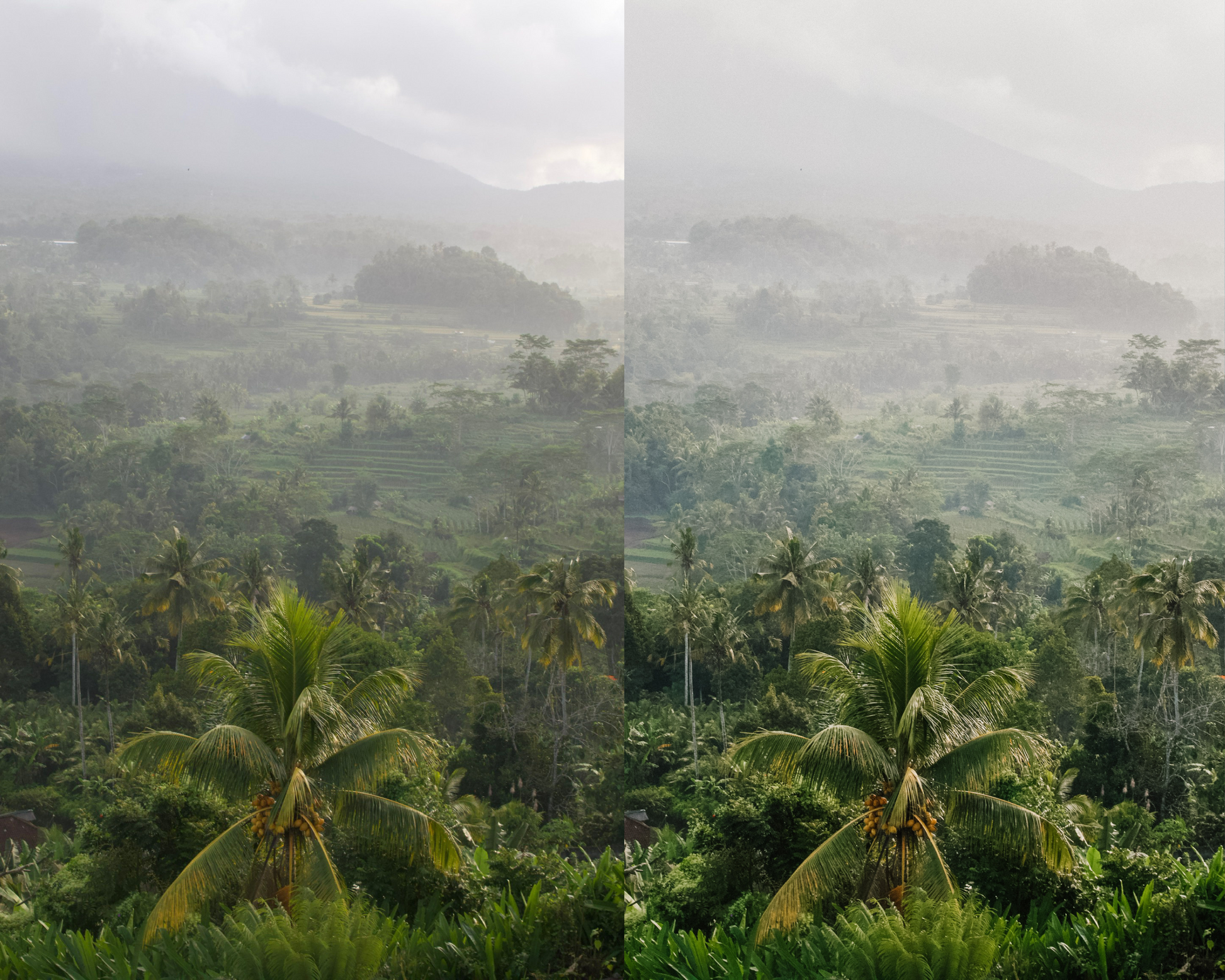Bali Desktop